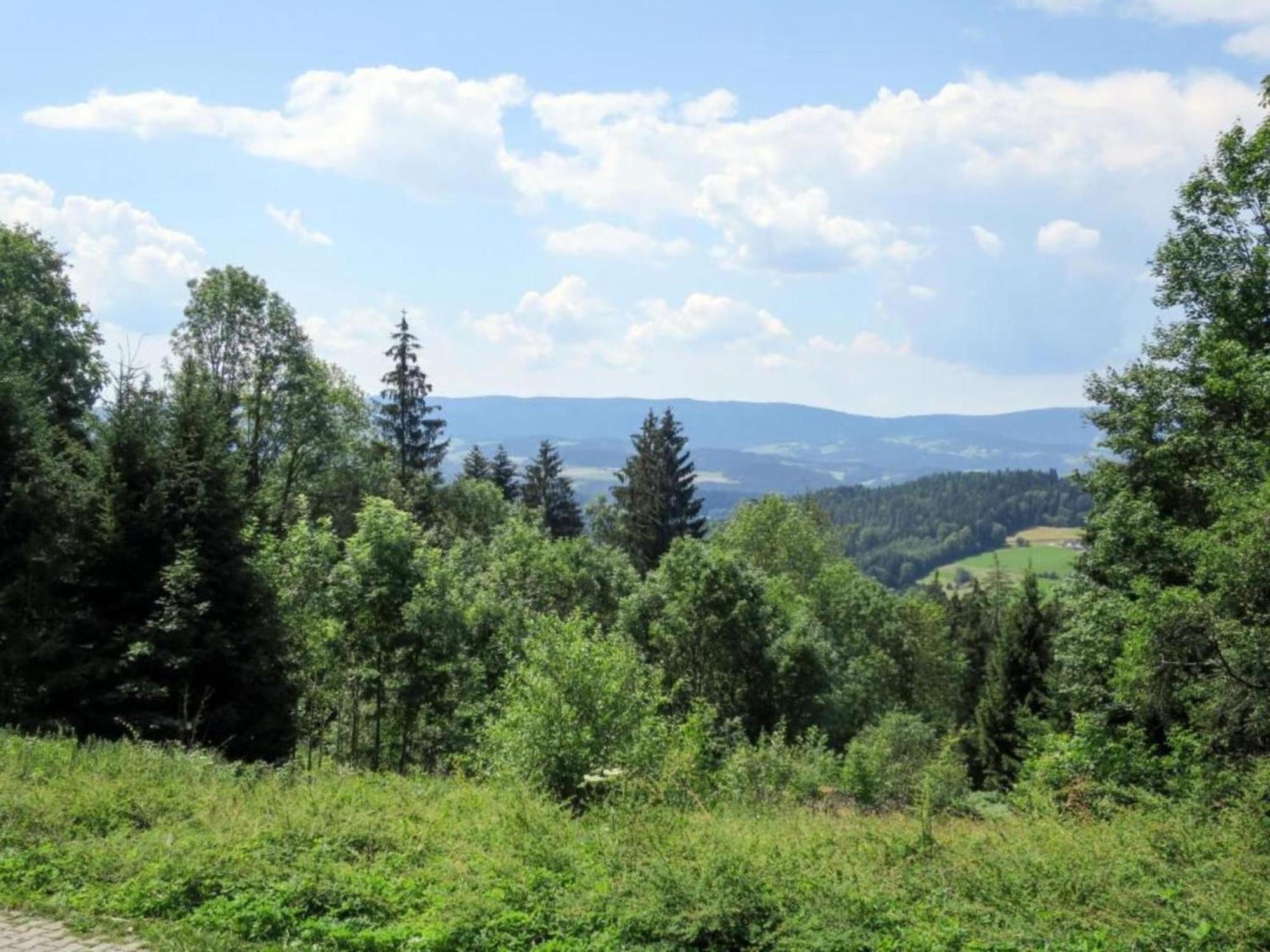 Ferienwohnung Im Bayerischen Wald Mit Terrasse Viechtach Zewnętrze zdjęcie